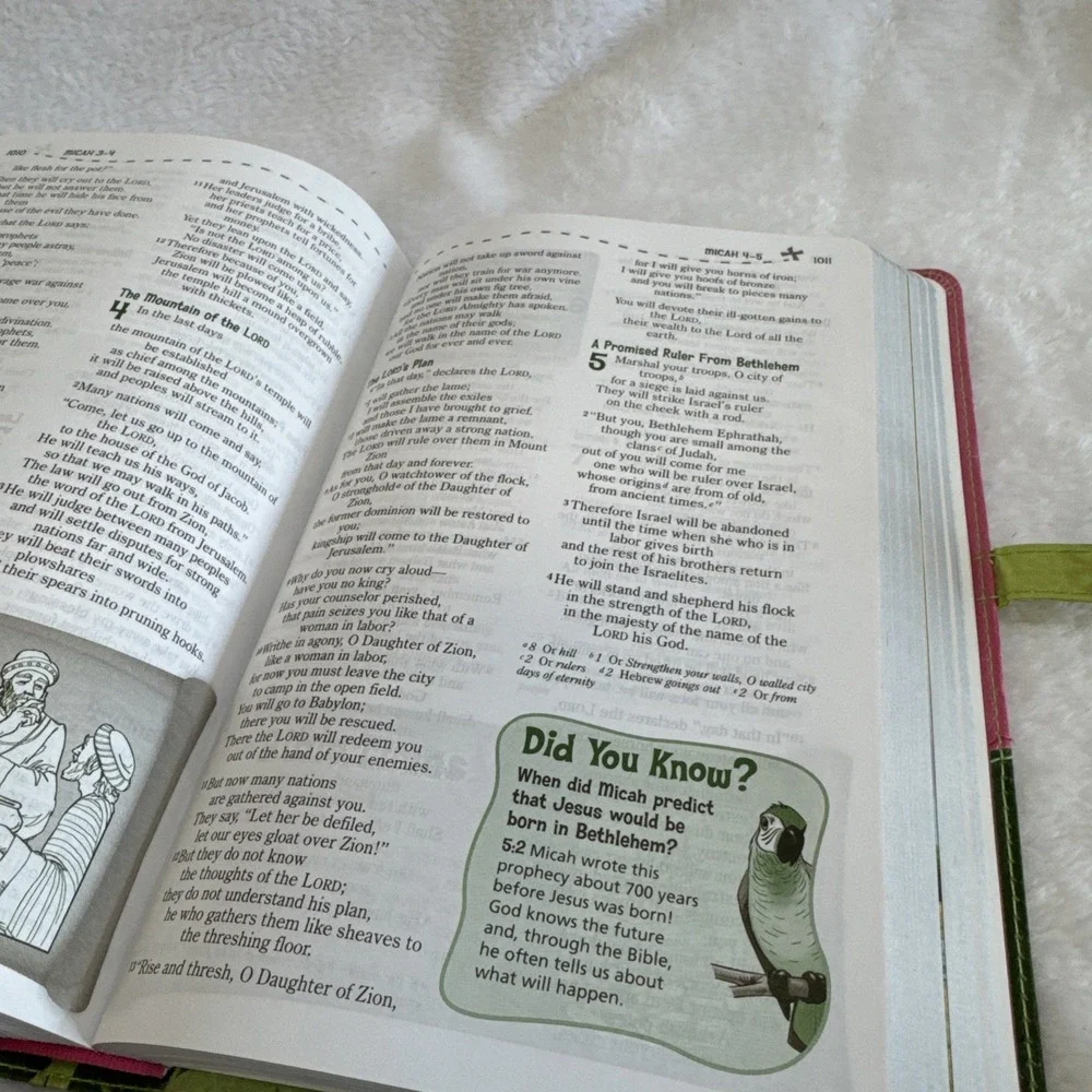 N/A adventure bible